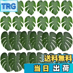 yzBestgleXe̗t lHt t sȂtFCNO[ 24ZbglϗtA T̗t  Be p ins Ǌ| CeA 