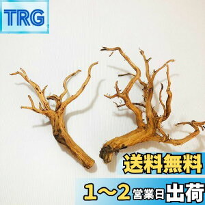 yzGoldlife   MTCY 2{Zbg X}gEbh ChlVAY } ANAE eE CAEg  XP[vEbh̍ޗ vR̃GTȂǂ