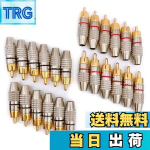 yzMeliore bL RCA vO [q ͂ X ^Cv IX PLUG TYPE ^Cv B P[u  ԍ bh ubN 24 Zbg