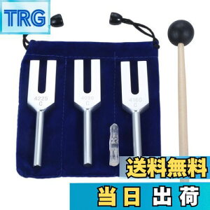 【送料無料】Dreld 天使の音叉セット(4096Hz、4160 Hz、4225 Hz) シリコンハンマーとソフトストレージバッグ付き 楽器 シルバー