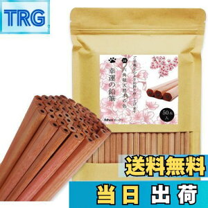 yzAdhereM VR؉M 2B Zp 50{҂ Vtg _炩KAq̊wZ̏A`Ac^AwAܕiAŵ߂̉M  (SȂE50{)