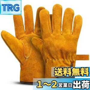 yz[Fieekty] ϔMO[u Lv  o[xL[ AEghApϔM yϔMiz LȂ v ω dXg[u Α n |p Ɨp tz 