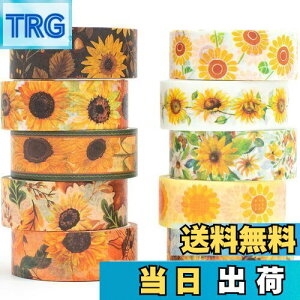 yzYUBX }XLOe[v 10 Zbg q} ae[v ԕ DIYNtg W[i 蒠 v i[ XNbvubN bsO v[g