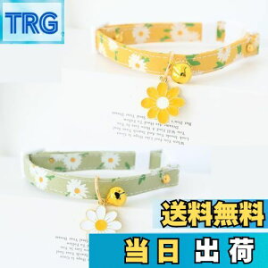 yzYINKE L Lp 2Zbg t f[W[̉ԕ Z[teBobN  lR   ^Kp y S S \ |GXe (O[{CG