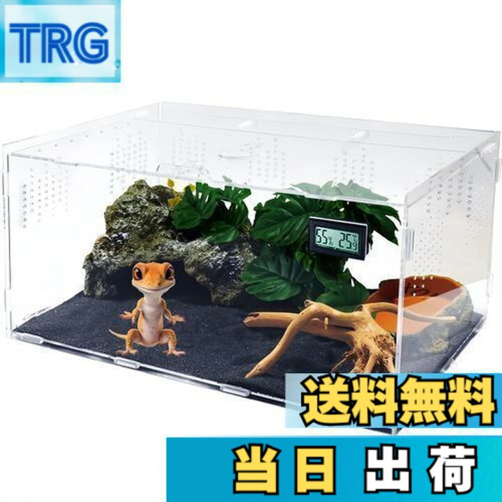 楽天市場】【送料無料】Niesporek 爬虫類 トカゲ ケージ カナヘビ飼育 