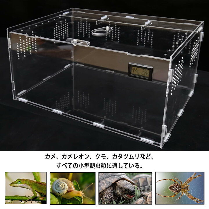 楽天市場】【送料無料】Niesporek 爬虫類 トカゲ ケージ カナヘビ飼育 