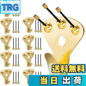 【送料無料】5WYOUKE 壁掛けフック 釘付き 10個入 耐荷重約34kg 強力 額縁展示用 画鋲フック ピンフック おしゃれ 大 目立たない フック 石膏ボード 木壁対応 額縁展示用吊り金具 多機能フック