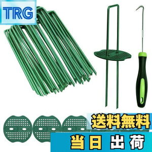 yzusY Ίەt 50{Zbg Niesporek 15cm hV[g Œp lH s ϋvU^s }`15cmtbN^_Ɨplbgi50{s+50Ίہj