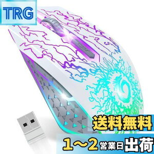 yzVersionTECH. CX}EX 2.4GHz }EX USB[d 7F RGBCg x 3iDPI߉ 6{^ Q[}EX y PC bvgbvȂǑΉ zCgmsAn