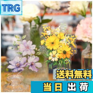 yzArpaper V[ R[W f t[NV[ lߍ킹 XebJ[ PET V[  킢 蒠 X}z ̎q m[g L[{[h fR R[W h R[Wf