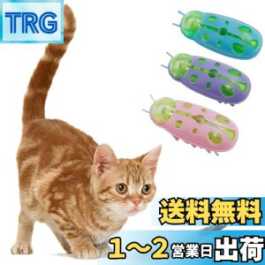 yzKASELIN d  3Zbg drL񂨂 dCybĝ  L ߋ lV QԂ@\ Cat'sbug! ĂƂ ~jdqJugV LpC^N
