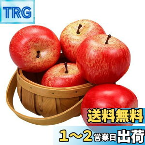 yzSensaBliss  HiTv ʕ ͌^ A  Tv 5 Hi͌^ fBXvC W  ͌^ 8cm A  vJ t[cf Be ʐ^ 