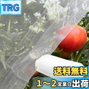 yzPhyxiul hlbg hlbg |plbg Q΍ hhb  ؍͔| ƒ؉    ʋC lbg F (2.5m×3m)
