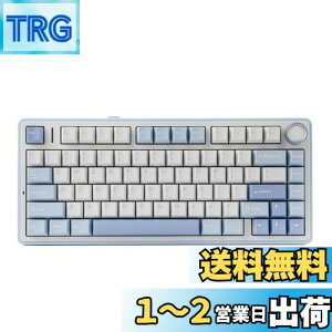 yzEPOMAKER x Aula F75 Q[~OL[{[h KXPbg JjJL[{[h 5wpbhmut 75% CX zbgXbpu Bluetooth/2.4GHz/USB-C RGB ZKF؎擾 (Sea Salt Blue, L