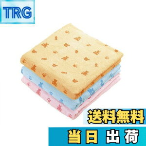 yzKosugizen oX^I poX^I N} 3Fe1 60×120cm ₷^Cv ܂Ƃ߂Ă 3Zbg ST-5808-3