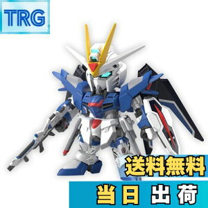 �y���������zSD�K���_�� EX�X�^���_�[�h �@����m�K���_��SEED FREEDOM ���C�W���O�t���[�_���K���_�� �F�����ς݃v�����f��