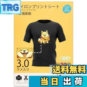 【送料無料】TransOurDream 真正の転写シート キラキラアイロンプリントシート 金色フラッシュ A4 5枚 布用キラキラシール転写紙 黒・濃色生地用 プリントシート アイロンプリント用紙 Tシャツ