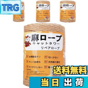 yzyƊďCz[v  6mm R Ђ yA[v L^[ XNb`[ ܌ Lbg^[p ܂Ƃ  DIY |(25m)