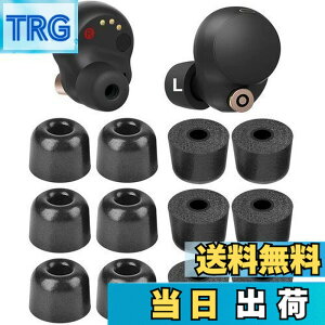 �y���������zA-Pcas �C���[�s�[�X SONY�p WF�]1000xm5�p WF�]1000xm4�p �ᔽ���C���[�s�[�X �E���^�����C���[�s�[�X �L���t�H�[���C���[�`�b�v Fit in the Case �m�C�Y�A�C�\���[�V�����C���[�s�[�X �t