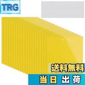 yzKALOLINNA  SV[g  QߊlS ʔS h S ȒPt Q ߒ h nG 쏜 ߊl K[fjO _ ͔| ƒ؉ CG[ (20×10cm,20)