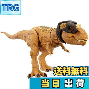 yz}e(MATTEL) WVbN[h(JURASSIC WORLD) TChA^bN! ق T-bNXyS:49cmz y4~z HNT62