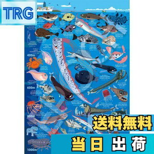 �y���������z�G�|�b�N�� 100���[�W�s�[�X �W�O�\�[�p�Y�� �C���X�g/�A�[�g �F�i���� �[�C�����}�� ���[200m~1000m (26×38cm) 26-807 �̂�t�� �w���t�� �_�����t�� EPOCH