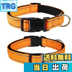 yzTHAIN   ^A^p ybgpi ˍޗ iC ʋC e͐ _炩 ߉\ (M, IW)