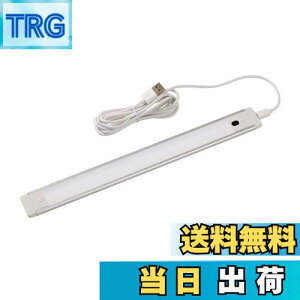 yzGp (ELPA) LEDړIUSBvbV LEDCg 280lm ALT-USB2030PS(D)