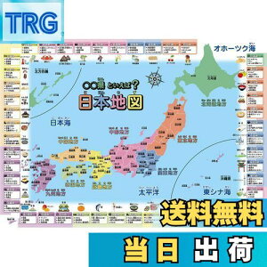 yzCwK|X^[ {n} (ƌ( 60×42cm))