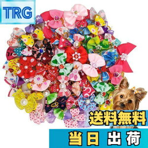 yzKingsie p{ wAoh 20_Zbg ybgp Jt  wAS wAANZT[  A\[g