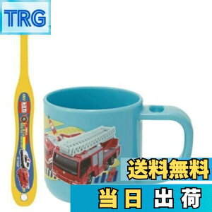 yzXP[^[ (skater) uVZbg uV Zbg X^ht Rbv 3-5ˉp g~J 19 180ml 14.5cm KTB5