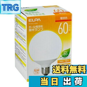 yzGp(ELPA) d`uG`60W` d 100V 21W 1230lm 3g`F p EFG15EL/12-G062H