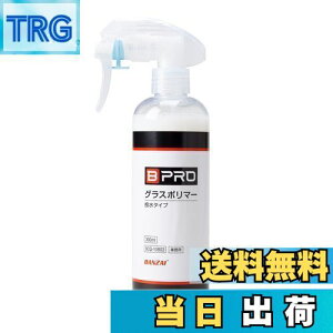 yzBPRO ԗpR[eBO OX|}[ij (300ml) [6ϋv]  { SFΉ c Gʎ{H ȒP{H