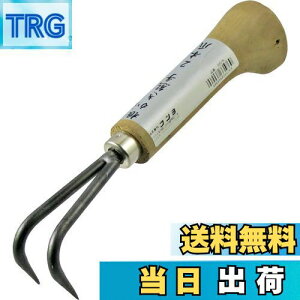 yzߗ^(KONYO) ܘY F 2{