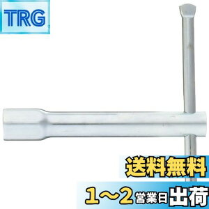 yzSANEI(TGC) pH ibgtH {gz[p ZpΕ13mmp R356