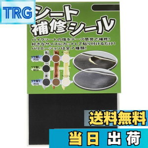 yzfCgi(Daytona) V[gCV[  cȂ ז 72339