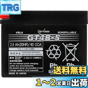 yzGS YUASA [ W[GXAT ] V[h^ oCNpobe[ [ t[d ] GT4B-5