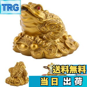 yzKingsie Or^ O{r̊^ K^  Or JG   J^ ^ ^ ɐ ObY CeA 蕨