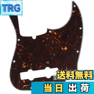 yzMusiclily Pro 10 vVWx[XPBsbNK[h5Fender American Precision BasspAꈍb4P