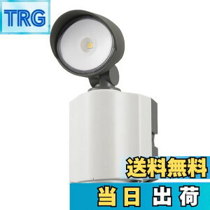 【送料無料】オーム電機 LEDセンサーライト 屋外 防水 1灯 600ルーメン コンセント式 昼白色 セキュリティ 防犯対策 ホワイト(奥行8.9cm/高さ18cm/幅7.8cm)RL165Y1 07-8891 OHM