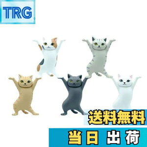 yzMRZJ JKRLyz_[lR̃y S5Zbggyz_[ (5PCS)