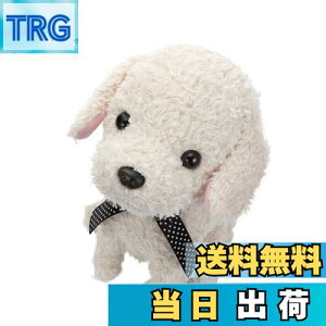 yzZKtFCu (SEGA FAVE) RR  N[