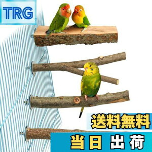 yz4_Zbg  ~܂ ~܂ ܂𖁂񂲂̖ R ނ ܂ p[` CR IE   ZLZCCR IJCR ₷݃{[h Vѓ 