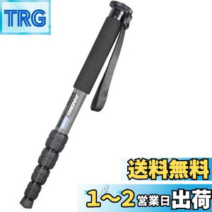 yzINNOREL r Jp J[{ 22lbs/10kgω׏d 5ZNVLk\ RpNg ֗ y spiRM285Cj