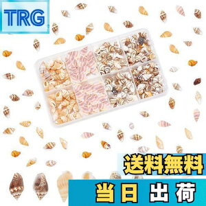 yzPH PandaHall 260 VF Lk Zbg L ~bNX r[`VF fRf r[` ANZT[p[c |pi f   p[eB[  C̓ Ă̑