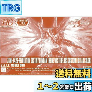 yzo_C(BANDAI) HG 1/144 fXeBj[K_(nClp@)[NAJ[] @mK_SEED DESTINY