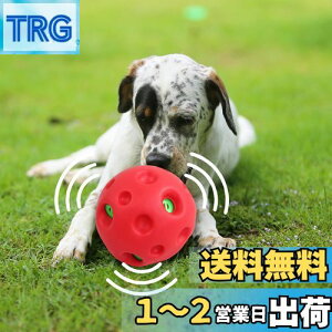 yzpet prime   {[ ^p ۂۂ퉹o dďvȉ̏o邨 傫ȉDȃ ȒP ^ a14cm