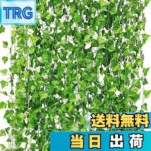 yzCQURE ԃO[ lHϗtA tFCNO[