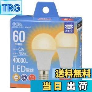 �y���������z�I�[��(OHM) �d�@ LED�d�����` E17 60�`����/60W���� �d���F �����Ή� �f�M�ގ{�H���Ή� �~�j�N���v�g���` 2�� LDA6L-G-E17 AG62P 06-5548