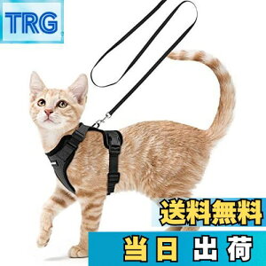 yzRabbitgoo L n[lX [h Zbg ^ Lp Ȃ ́[˂ \tg y グ TCY߉ lR U R 锽 ʋCbV Pݖh~ 